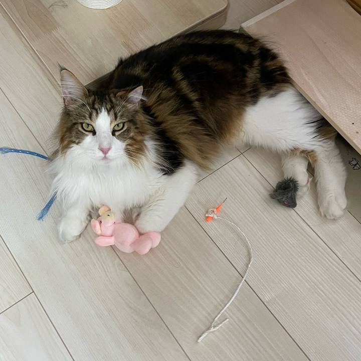 C5569a61 ddfb 4b6d 8b18 c1bc91da3aa6 1655891836489