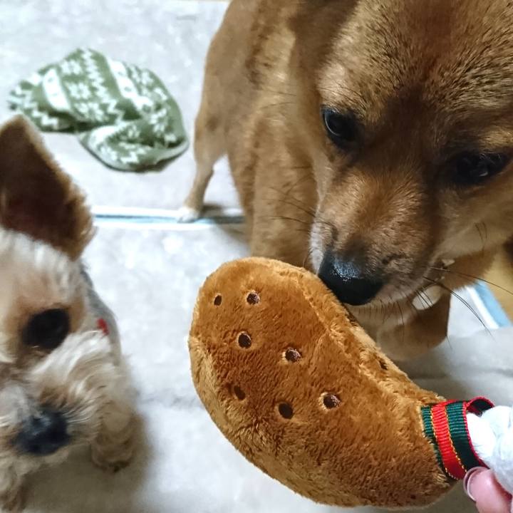 C556c461 fca3 4ea8 b96f 51d41e257f83 1545613401025