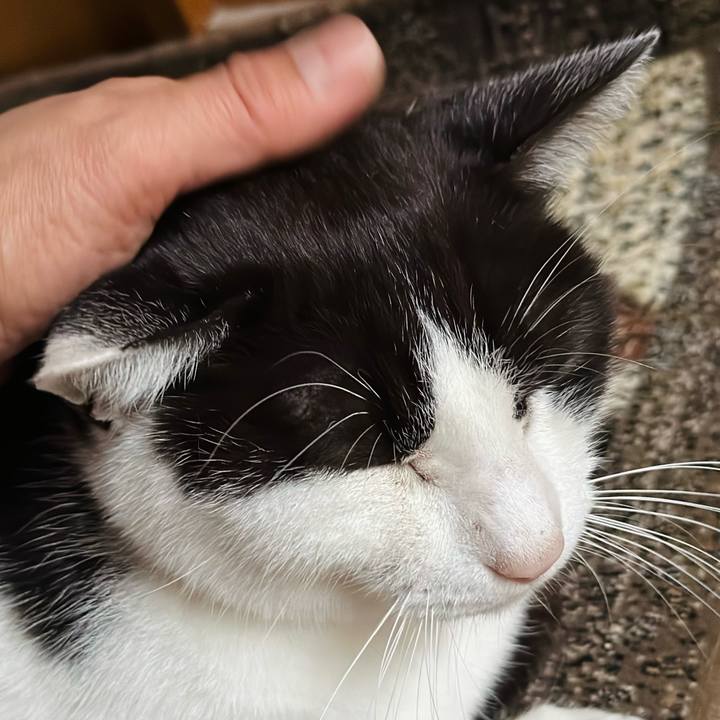 C556e226 4c09 42e8 9c31 8d3d4d8f4870 1668822349583