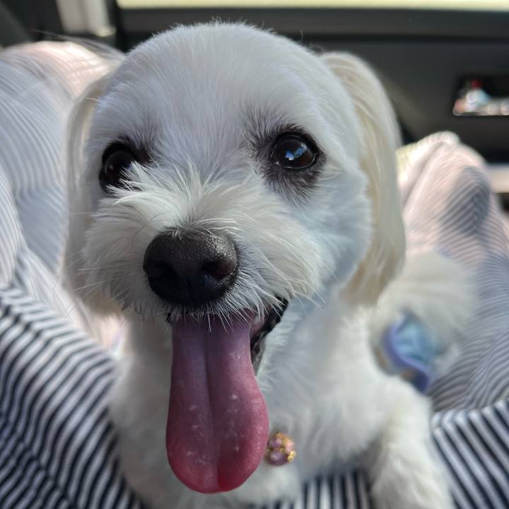 C5571185 b95f 4db7 a7a7 fc96cca02496 1692697919516