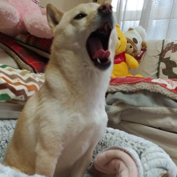 C5572301 e875 4c9e 9276 6ec14a6102a5 1579663094653