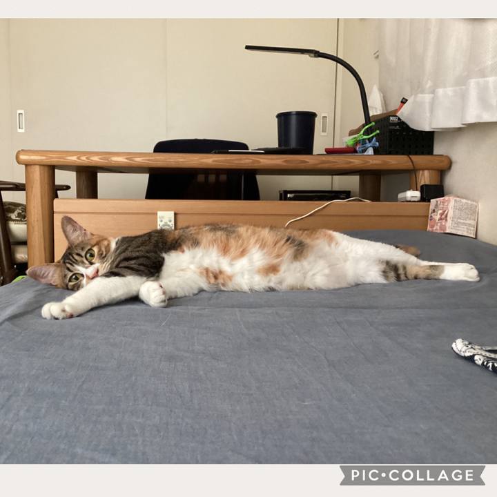 C5573d7e 6d6b 44b1 87e5 c83179e3e613 1688857271999