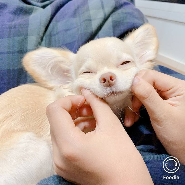 C5574cae 3b36 43e1 a9d6 35e44f5ec3d0 1601364613846