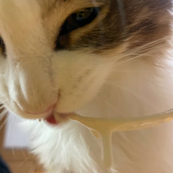 C5577f48 f1d6 4013 9673 94f9b265f977 1637011965639