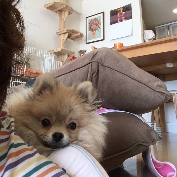 C5578067 0afe 47a2 a2eb 5c3ff598cdd2 1513083148593