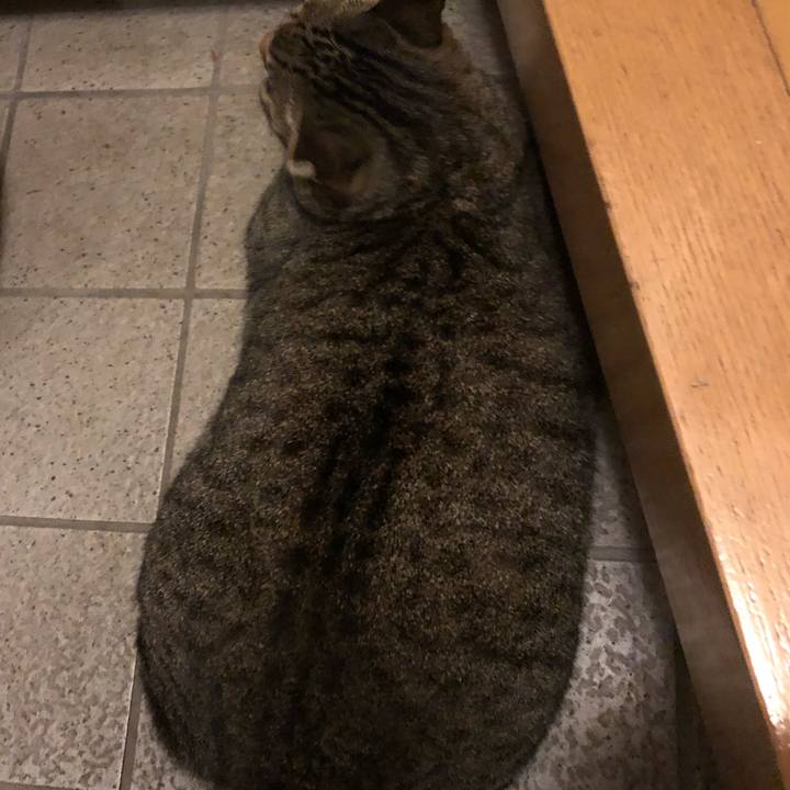 C55792f3 e011 4e2a adcb 6a561f8d0d5d 1569235997451