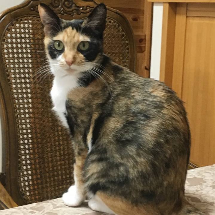 C5579662 ec02 471b a992 820098298479 1515329766869