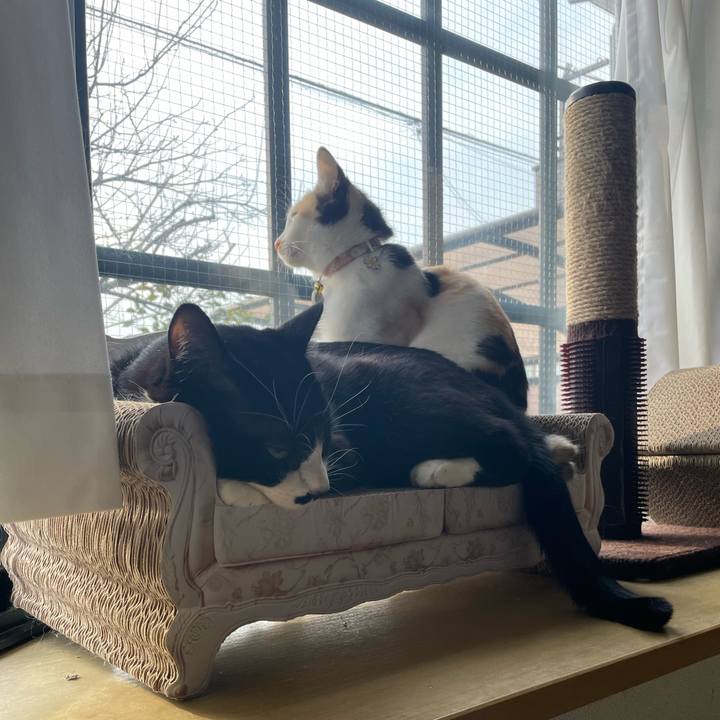 C557a521 82ae 4375 9ef5 3f89ee042fb3 1676761388638