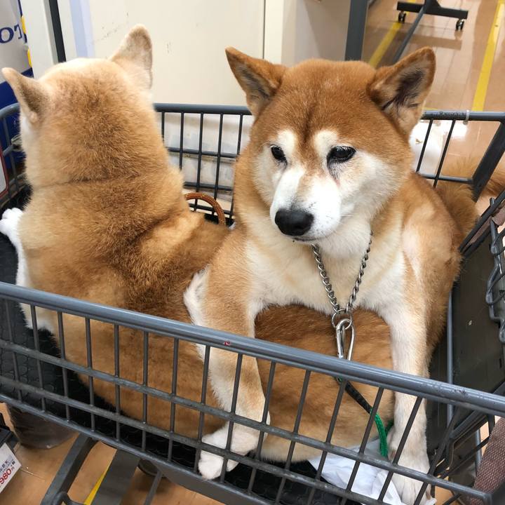 C557f7cc df8d 4937 b6e2 aed3e48ae42f 1538232794122