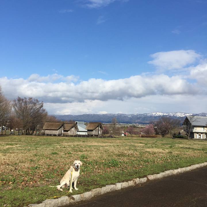 C557fc70 51ea 49b5 b6ba 7108967cc7cf 1523172812935