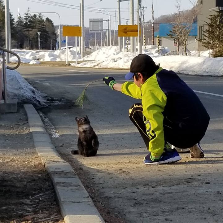 C558119b 1f4c 44a5 9dfb cd535b7dfb92 1585655014086