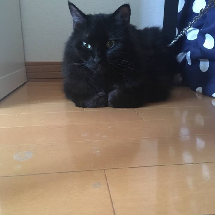 C5581907 6c72 4632 a320 934b18dc4fd8 1564744898075