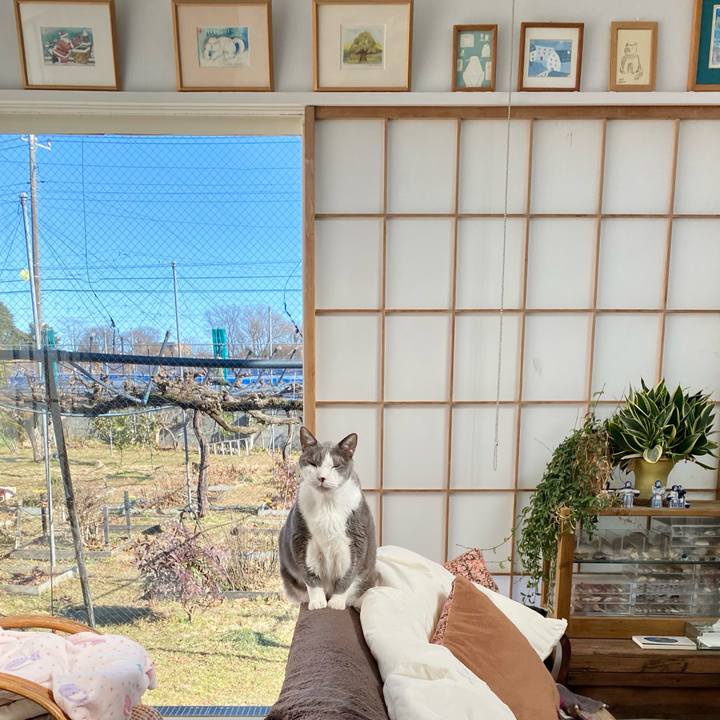 C5581c33 2f33 4723 b9a9 5a37e4cae795 1768197507844