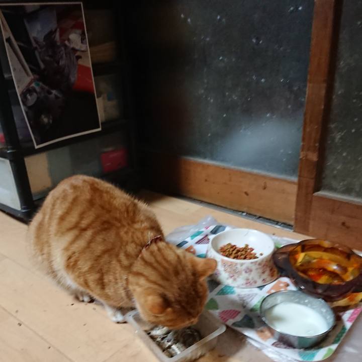 C5584666 2eb2 4679 8ec8 23262815e57f 1607716552111