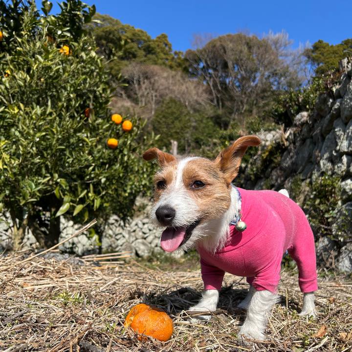 C5584991 b242 4fec ace2 040a5a365217 1769480388634