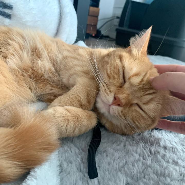 C5584a4e 6e1a 47e8 b2bf 90712862a4cb 1669634305876