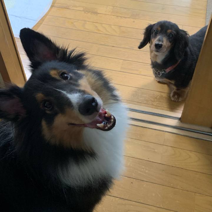 C5585489 6a08 47ba 82fa b2af25391b2d 1601936208548