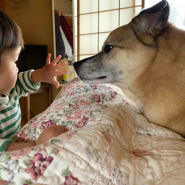 C55865bc 3259 4304 bd11 c94b4909b210 1553649566059