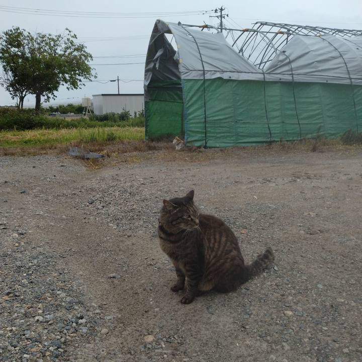 C558b6b7 3ff5 4f02 b2c0 a5f8160bb6bb 1751666581761