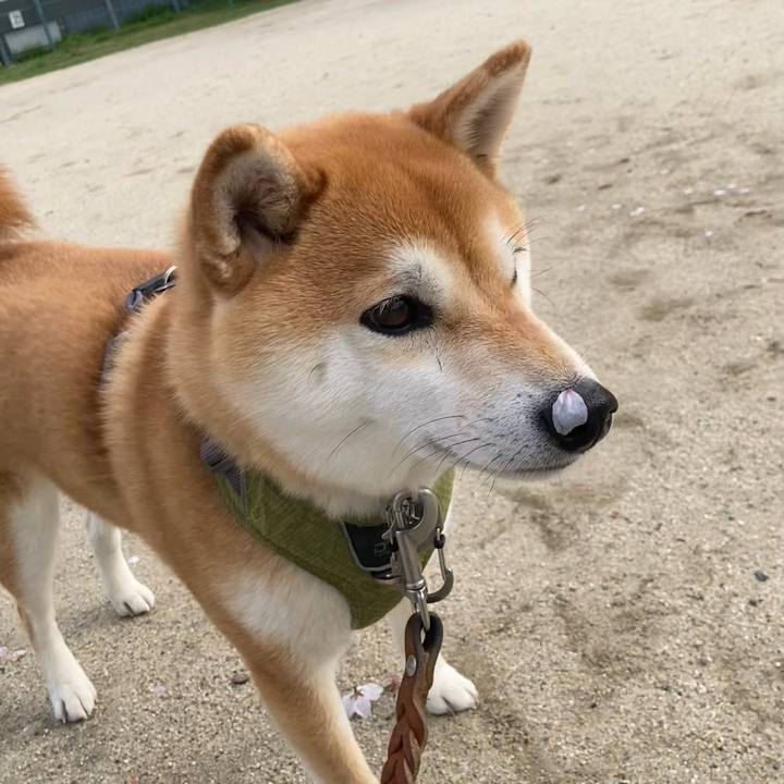 C558fdfe 2eed 4f30 a157 518a4177d7ff 1712801341436