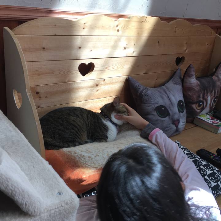 C5590f26 8213 47f3 bfff 1df4e7868003 1552904091090