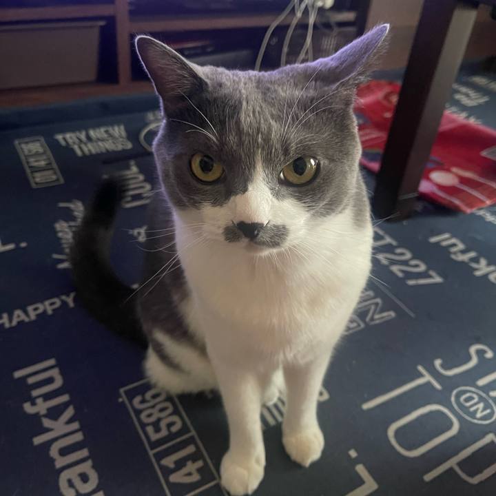 C5592a62 4e2d 4c33 9a42 d7a56f2087c9 1722069598879