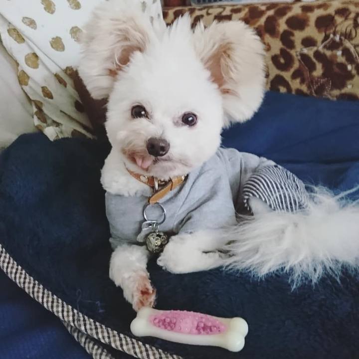 C559976d 1405 416c a6d8 c4684621d54d 1553490332406