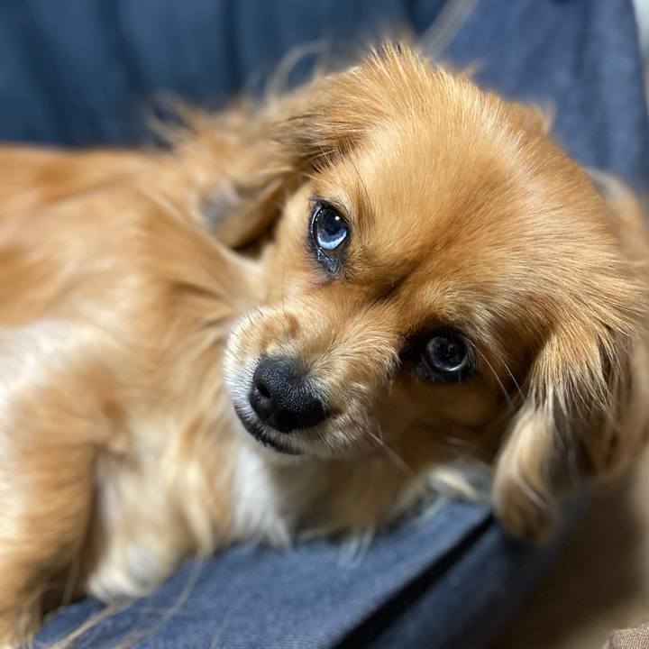 C559c480 084d 45b6 90f5 0a057b407969 1578021342372