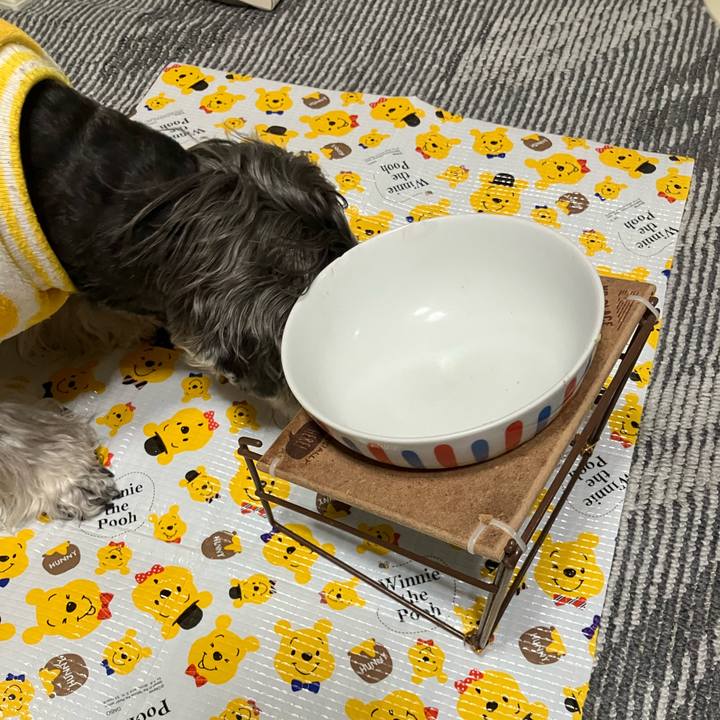 C55a08c2 613e 4fe8 bf5d 0036fe2f7486 1772488238320