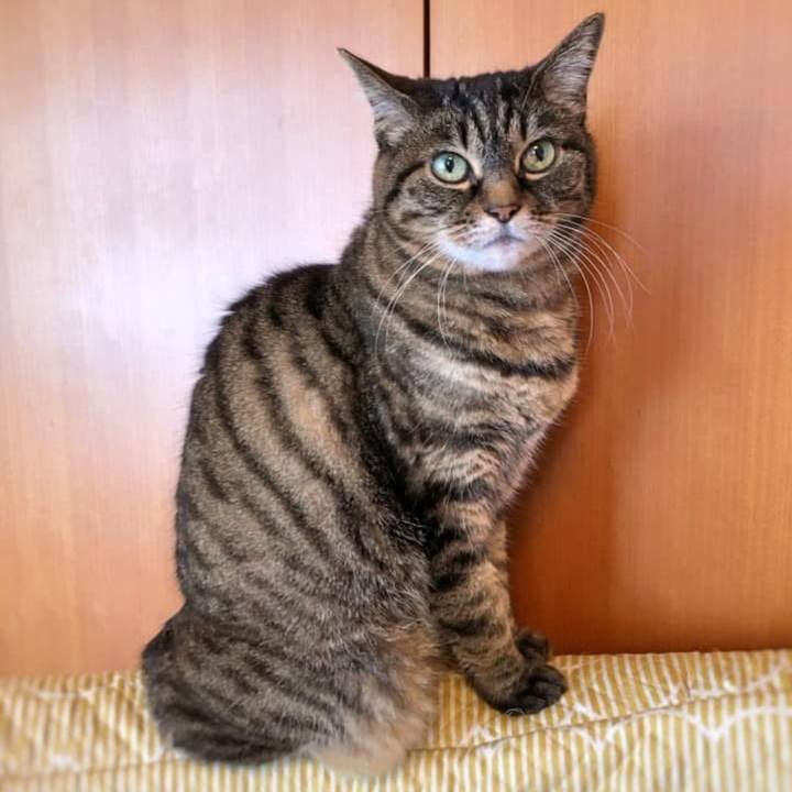 C55a40a0 5146 4a73 9252 7cd49e6d99bf 1774345345492