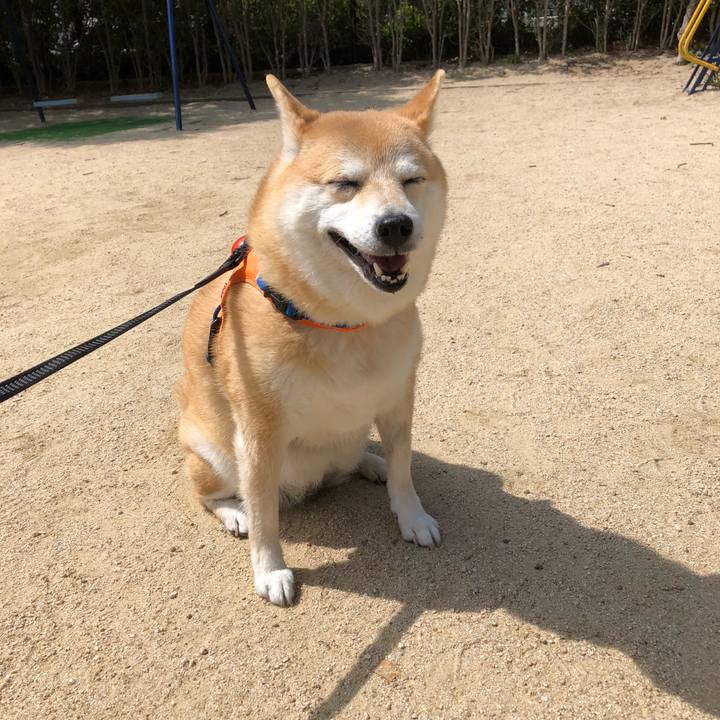 C55a8fdd 8aa2 4ffc bef2 e55ef9a827b1 1560087439472