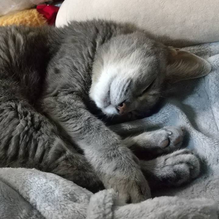 C55aa935 2879 4f74 b72a 9de9330f1629 1697114977722