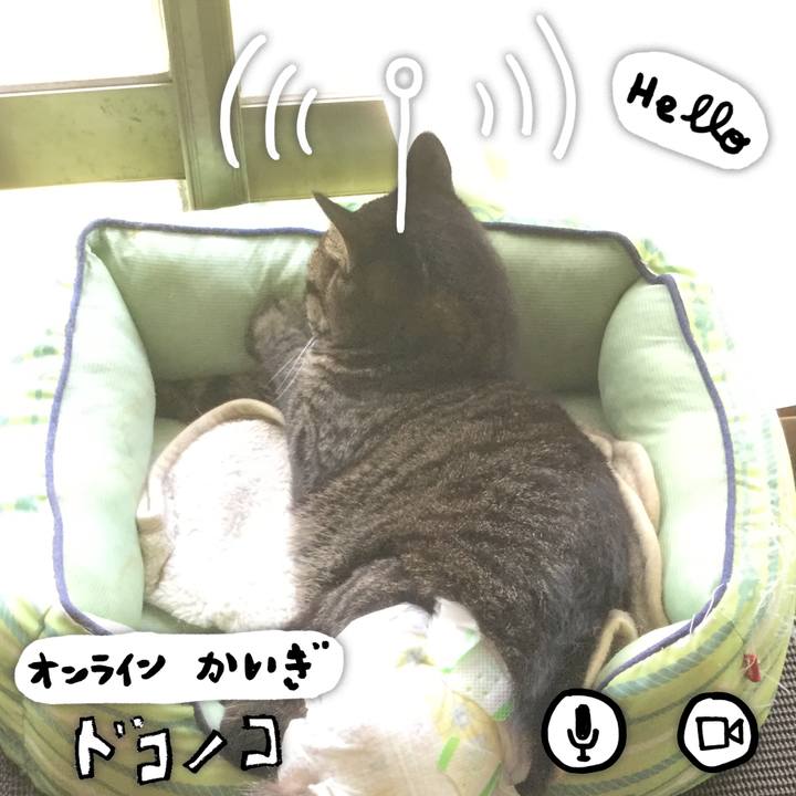 C55b1df3 9bb0 4326 aa3d 4f10e2fc3d2f 1590800018162