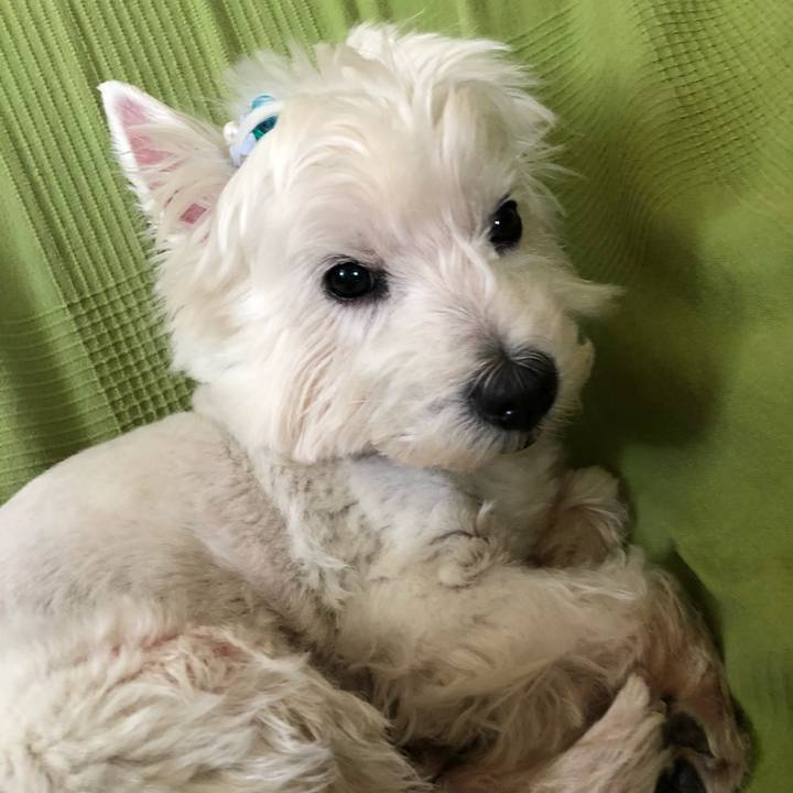 C55b673c b9ac 457f bfd7 59fe9a68921e 1559535731194