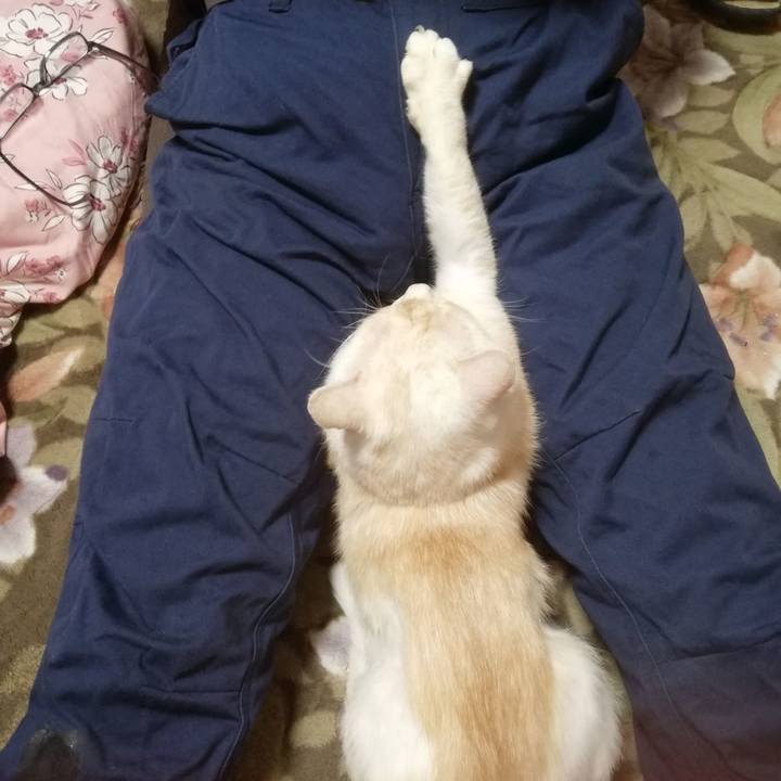 C55bc37b 0156 4072 9322 28f8f3311e8a 1672095188906