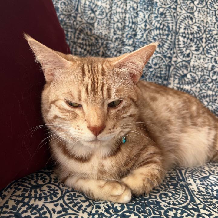 C55bccda cb3d 4cee a483 a7339c9d55b3 1714372496720