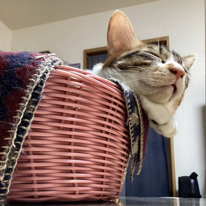 C55c0662 47c5 4010 a435 d86566e1625b 1670142785069