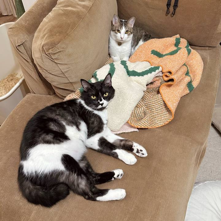 C55c5469 37ee 42fd 80fd 150e2c77cfd5 1764855236696