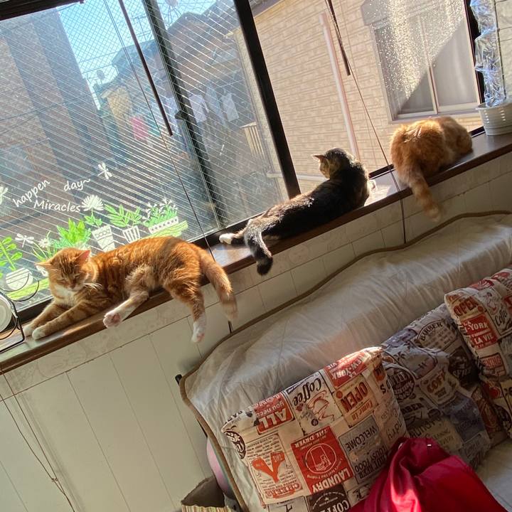 C55c7191 a9fc 4be4 a3a9 b36d3c74901a 1604584277743