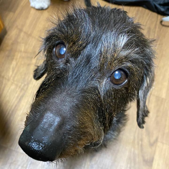 C55c7a8c 7259 4275 b1c3 8fe59f851704 1609250254661