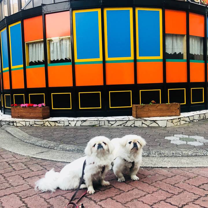 C55c8bd5 b09d 4a9d 9dd3 bb69b419d7aa 1588282886998