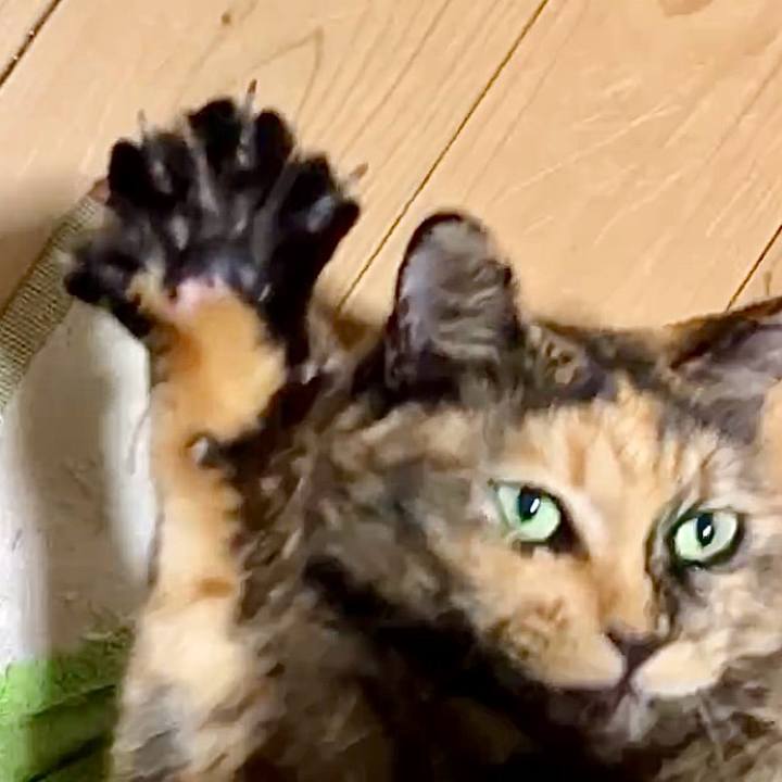 C55c9b16 4b16 4383 b026 20c1084d9cb6 1731837184776