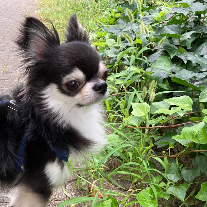 C55cd4dc 19aa 4b81 9dca ef879a011732 1663244567420