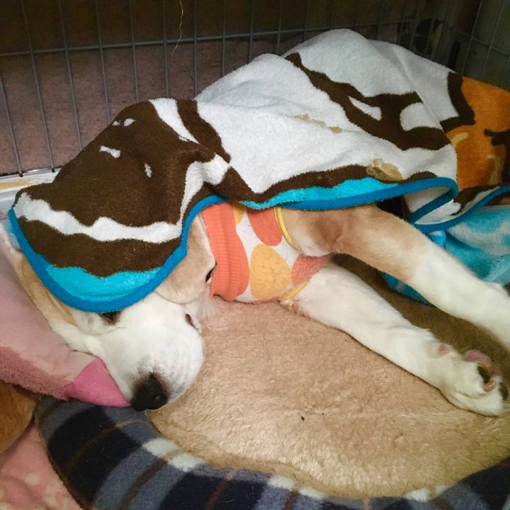 C55ce43e 83f2 4ced 9b53 7c553666cabb 1577074601491