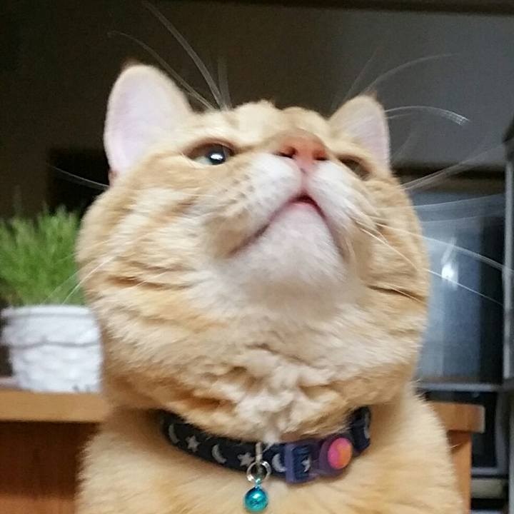 C55d012b 3f81 4317 8d31 f0aa09975d79 1569671271647