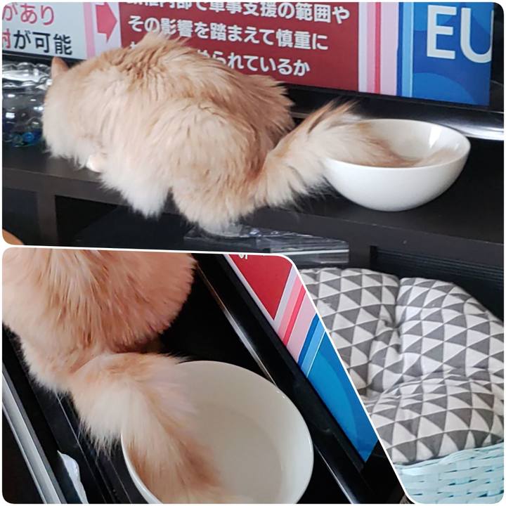 C55d343f c214 4751 96fc abb68e82fc86 1654056230131