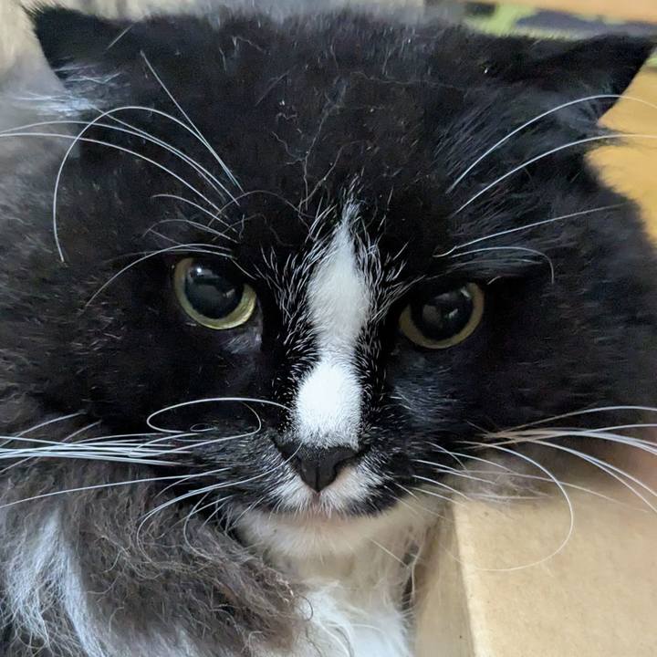 C55d7a88 84e8 48eb b5a2 cb777030c905 1760479769713