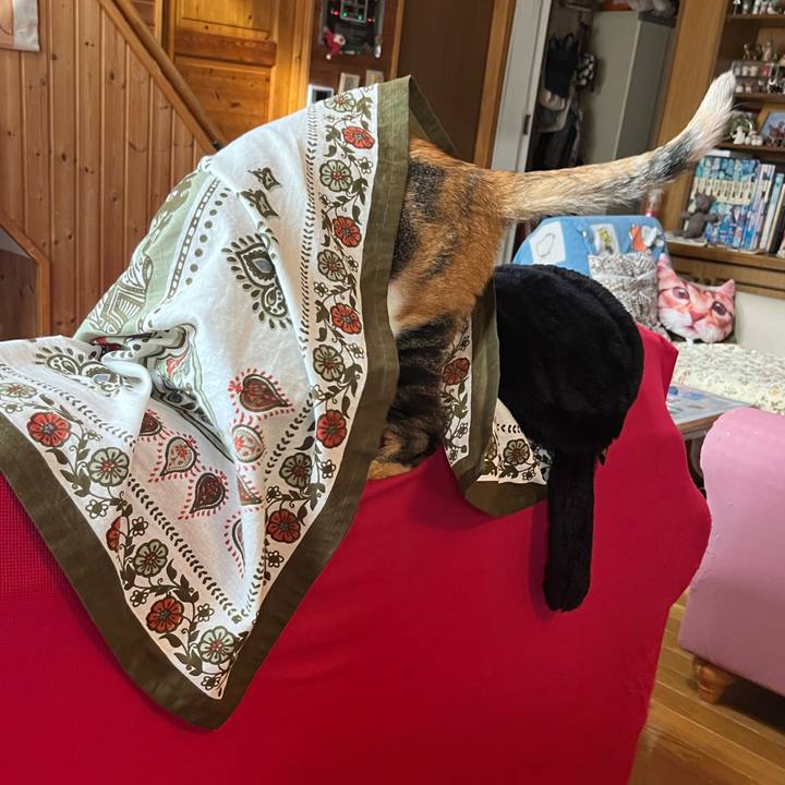 C55d7c53 6843 40f7 aa6a 23c74f5369ff 1754607032765