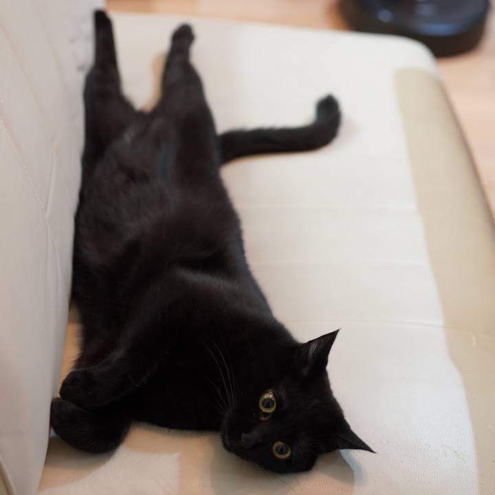 C55da198 ca4c 4504 95b6 92ce5afcfb01 1624335552202