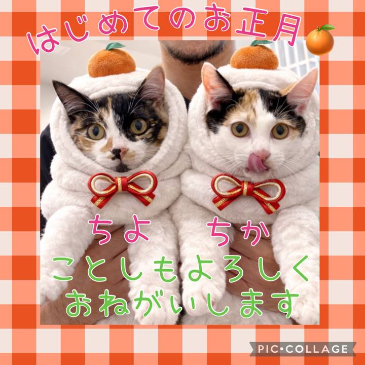 C55dbba7 cea1 4f44 958e 258fea227178 1767193410077